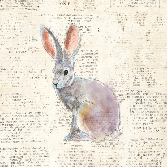 Into the Woods I No Border by Emily Adams - Wrapped Canvas Graphic Art