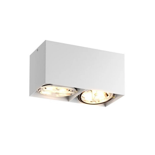 Bchester 2-Light 24cm Flush Mount