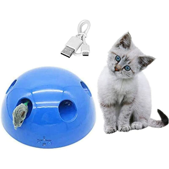 Interactive Cat Toy Automatic Cat Toy Kitten Catch Mouse Game Plush Electric Cat Toy Multi-function Cat Scratch Toy usb Charging (Blue)