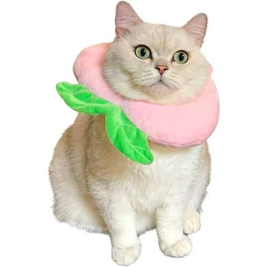 Pet Cat Hats Cat Necklace Decorative Cat Necklace