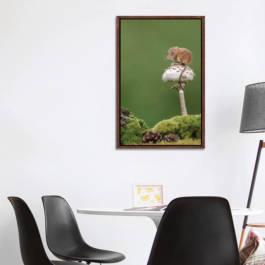 Sitting Pretty Harvest Mouse by Dean Mason - Photograph Print on Canvas