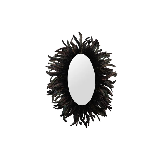 Clickett Oval Wood Framed Wall Mounted Accent Mirror in Black