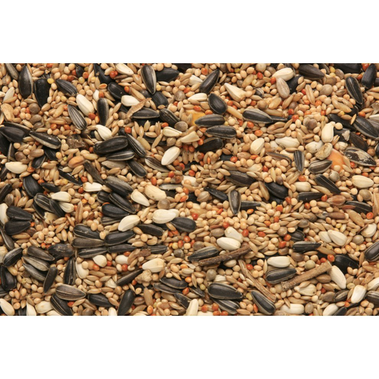SkyGold Cockatiel & Parakeet Cage & Aviary Seed Mix 4x3Kg