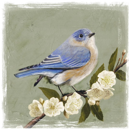 Bluebird Branch I by Victoria Borges - Print