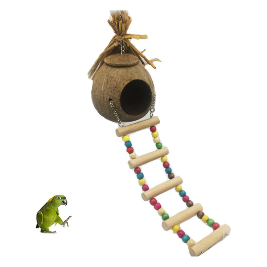 Perle Raregb - Nest of bird nest parrot nest of straw honeycomb Natural coconut shell cage can keep pets perroquet Canari pigeon hamster