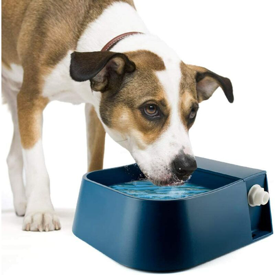 Bearsu - Pet Waterer Dish Automatic Fill Water Bowl, Automatic Water Feeder with Float Valve for Livestock, Dogs, Cats, Chickens, Ducks, 2L Capacity
