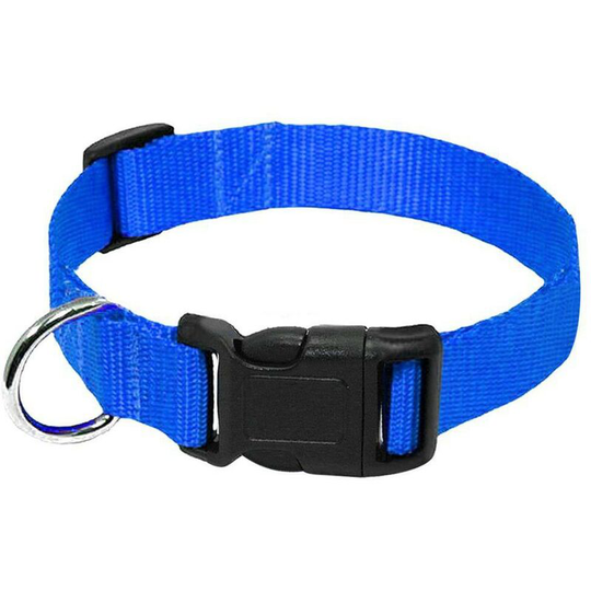 Solid Puppy Collar, Pet Collar, Basic Dog Collar, Dog Collar Small Dog Collar Blue