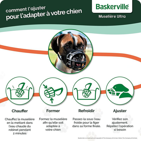 Adjustable for Dogs Black (Black), Size 4 (Length: 8 cm/Width: 32 cm)
