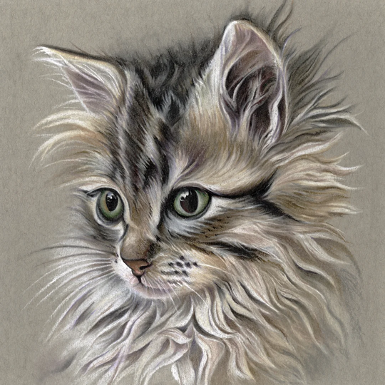 Kitten Portrait I by Lily Liama - Wrapped Canvas Painting