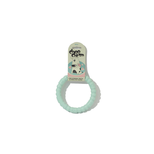 Tough Toys Nylon Dog Chew Mint Ring Small 9cm