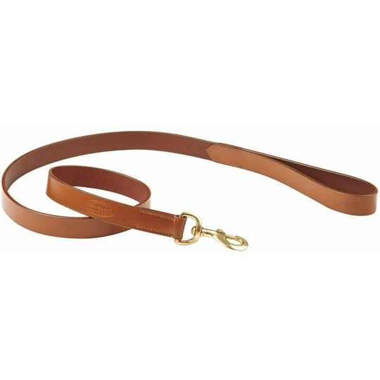 Leather Dog Lead (One Size) (Tan) - Tan - Weatherbeeta