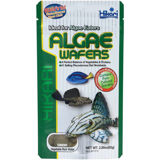 Algae Wafers Tropical Food - 82g - Hikari