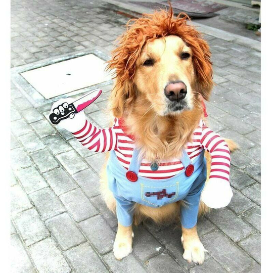 Monly - Dog Costume Pet Party Costume Cosplay Pet Costume l