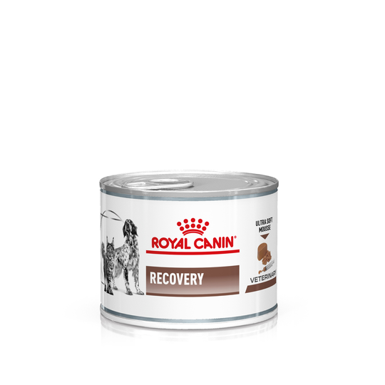 Royal Canin Veterinary Dog & Cat - Recovery Mousse - 12 x 195g