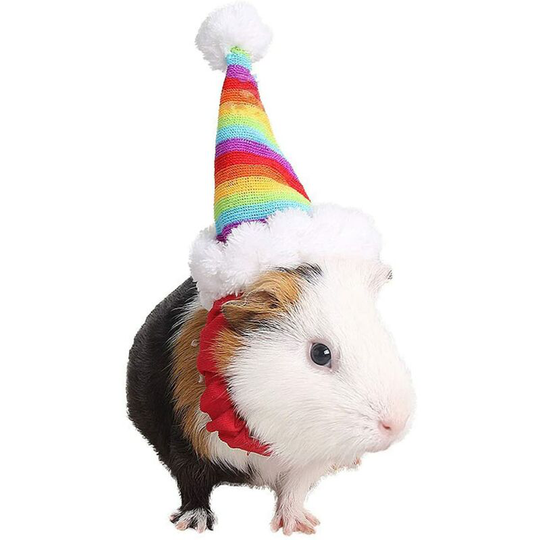 Hamster Christmas Hat Adorable Santa Hat Small Animals Grooming Costume Xmas Party Props for Pig Turkey Rabbit Cat(Rainbow)