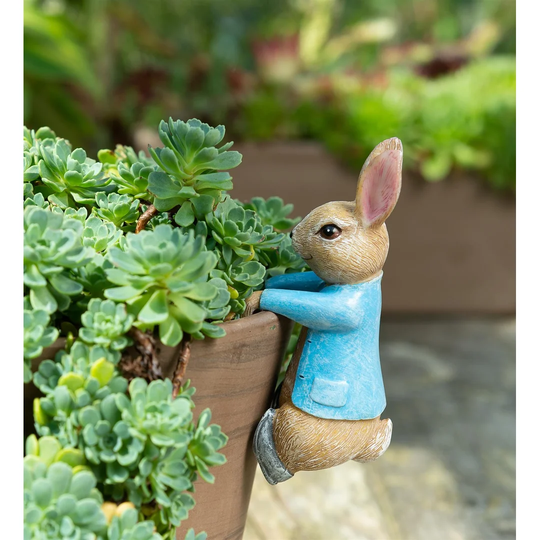 Deepa Beatrix Potter Peter Rabbit Hanging Pot Hanger Ornament