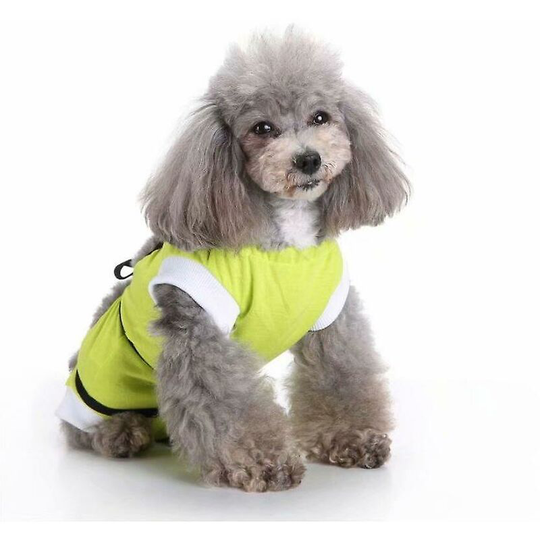 Pet Dog Sterilization Surgery Rehabilitation Nursing Clothes (green m) - Thsinde