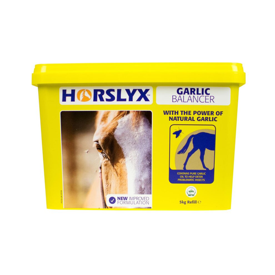 Horslyx Garlic Balancer Mineral Lick