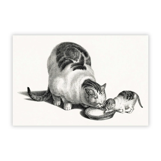'Cat & Kitten Drinking' by Gottfried Mind - Unframed Painting Print on Paper