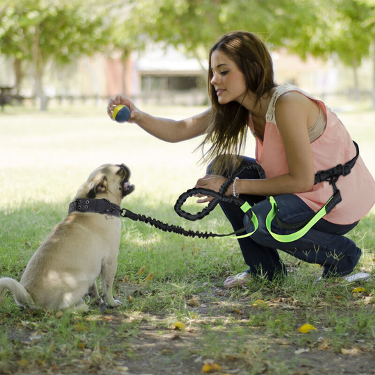 Pet dog lead double handle exercise running dog belt Lead reflective retractable large dog chain sizes vary