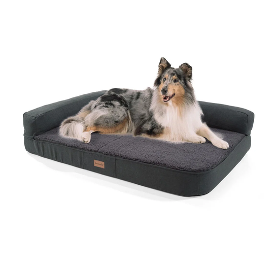 Odin Dog Sofa in Dark Grey
