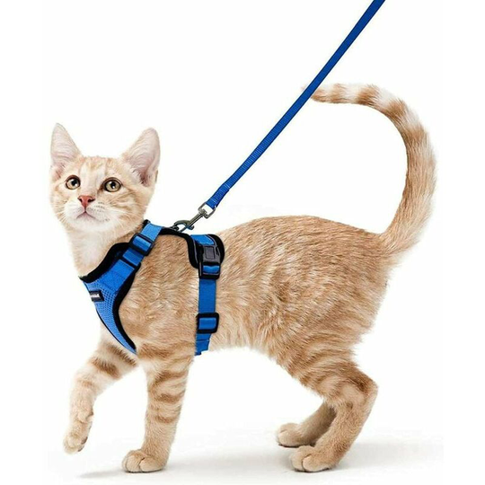 Bearsu - Cat Harness Small Dog Leash Adjustable Kitten Harness Blue xs Reflective Cat Harness Collar Breathable Vest for Rabbit, European Cat, Maine