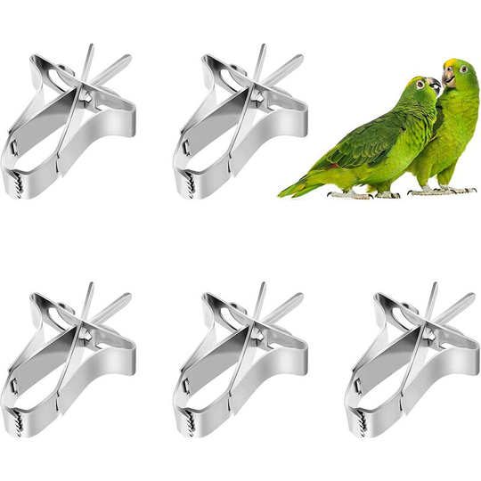 5 pcs Bird co.ukuit Feeder Cuttlefish Clip Bird Vegetable Holder Clip Stainless Steel Bird Feeder Bird Foraging Toy Cage Accessories For Bird Hamster