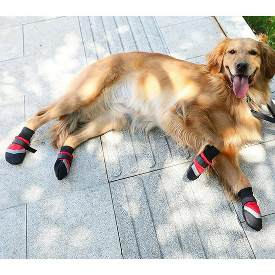 Bearsu - Dog Boots Breathable Shoes Non-slip Waterproof Slippers with Reflective Hiking Travel Mountain 4PCS Red m