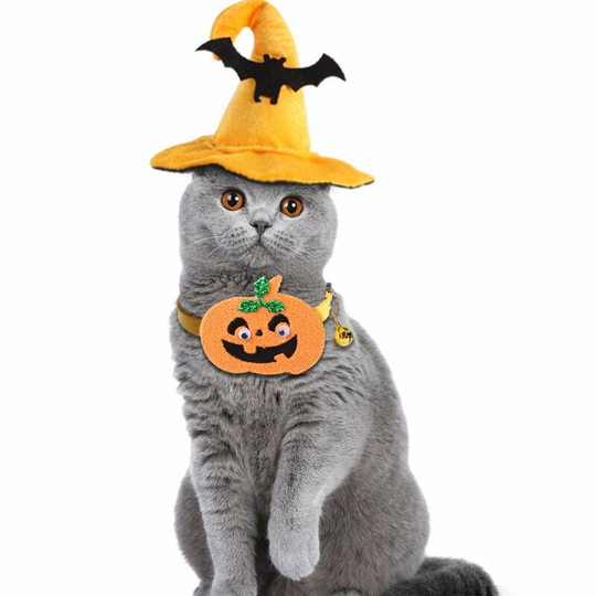 Halloween Pet Costume Halloween Pet Hat Witch Hat Dog Cat Pumpkin Bat Hat Halloween Party Hat(Bat)