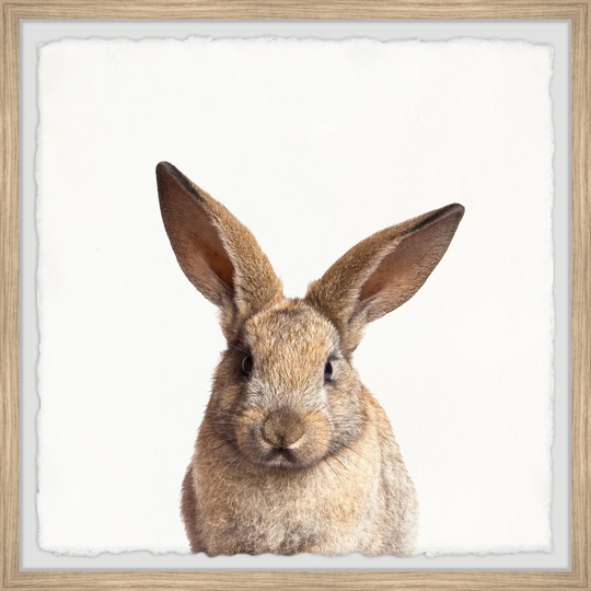 Hop in - Picture Frame Photograph