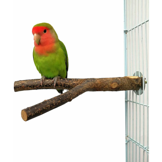 Natural wood perches for budgerigar, essential accessory in birdcage