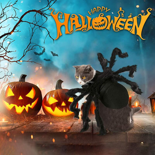 Halloween Dogs Cats Costume Furry Giant Simulation Spider Pets Outfits Cosplay Dress up Costume Halloween Pets Accessories Decoration for Dogs Puppy