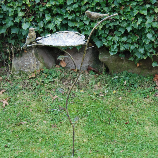 Tray Bird Feeder