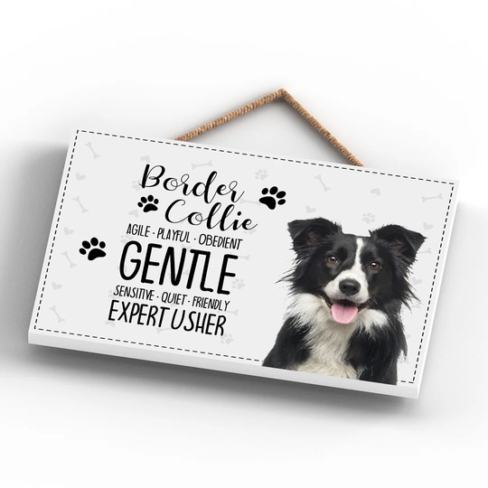 Pets and Paws_Border Collie Charac Wall Décor