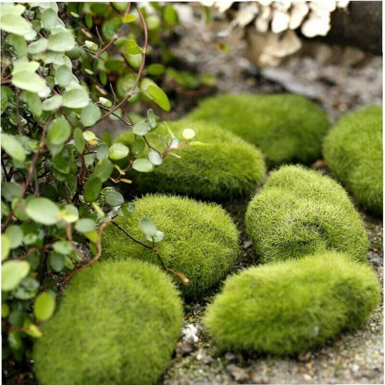 Monly - 2pcs New Artificial Moss Mossy Lawn Stone Model Micro Landscaping Garden Miniature Decoration Home Decoration Ornament