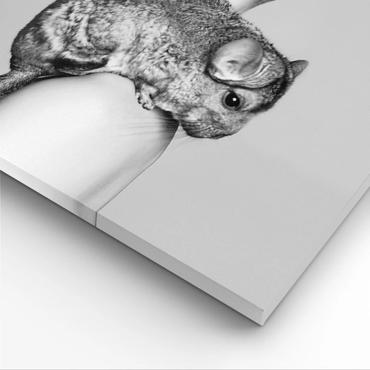 Chinchilla Woman Portrait - 5 Piece Wrapped Canvas Photograph