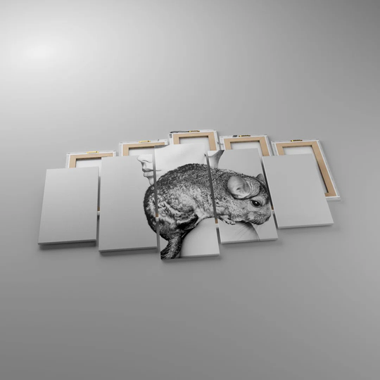 Chinchilla Woman Portrait - 5 Piece Unframed Graphic Art on Canvas