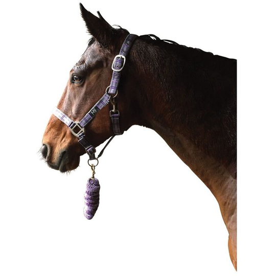 Tartan Head Collar with Lead Rope (Full) (Pink/Navy/Kingfisher Blue) - Pink/Navy/Kingfisher Blue - HY