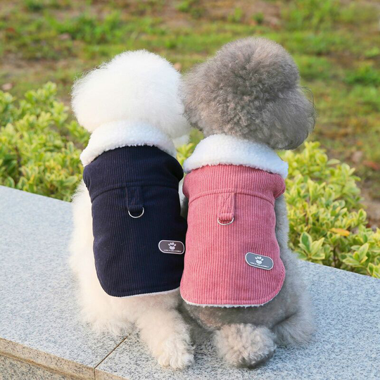 2 pcs Dog Clothing Autumn and Winter Fashion Corduroy Cotton Vest Bears Teddy Dog Clothing 23 * 32 * 20cm