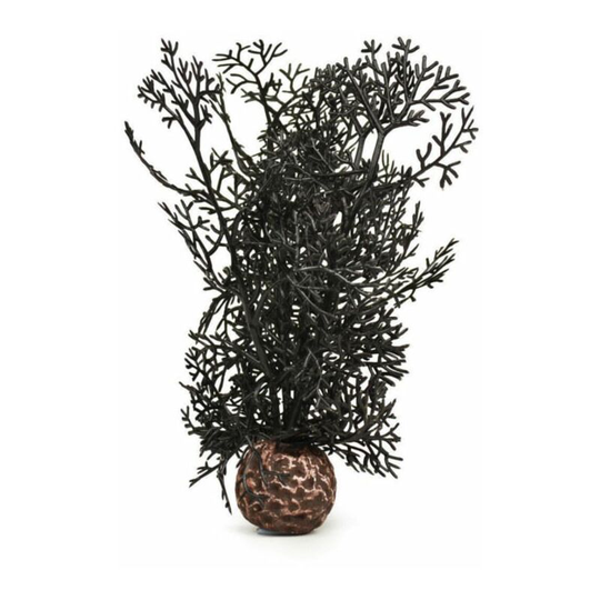 Sea Fan Small, Black - Biorb