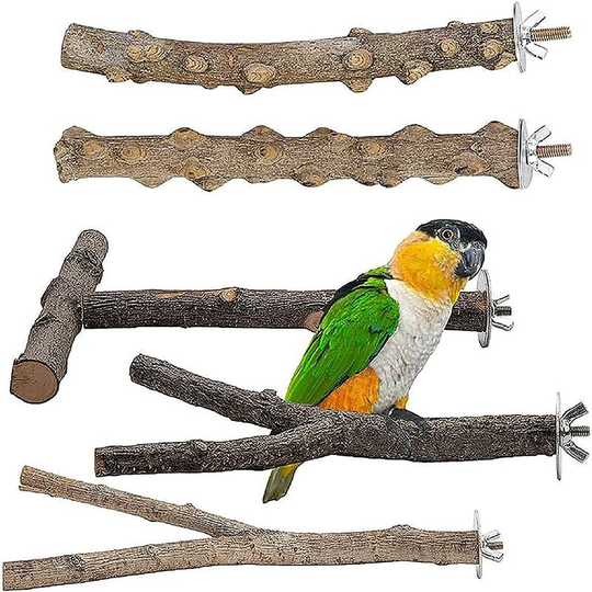 Set of 5 Natural Wood Bird Perch Accessories for Parakeets, Claws, Standing Climbers, Bird Cages