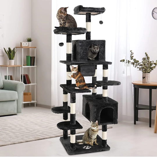 203cm Daughtry Cat Tree