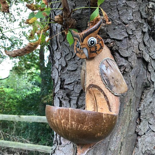 Dunbar Hand Craved Owl Decorative Bird Feeder