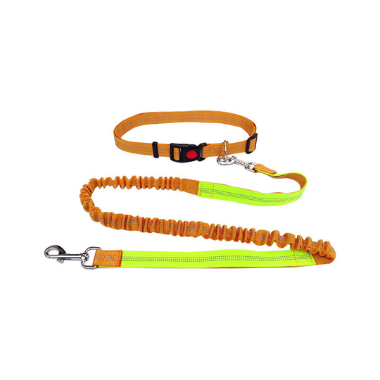 Hands Free Dog Leash Adjustable Belt for Running, Hiking, Hiking, Medium and Large Dogs (Orange Green) - Muff