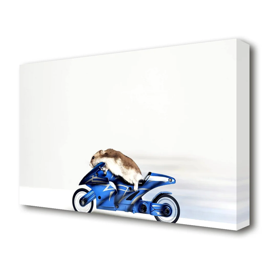 Mouse Riding Motorcycle - Wrapped Canvas Graphic Art Print