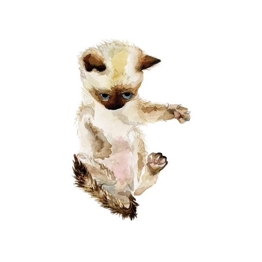 Siamese Kitten by Wandering Laur - Wrapped Canvas Painting