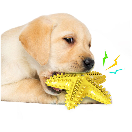Betterlifegb - Dog Chew Toys for Aggressive Chewer Interactive Toothbrush Toy Squeaky Teeth Cleaning Dental Carenew Starfish Design Fun to Chew Chase