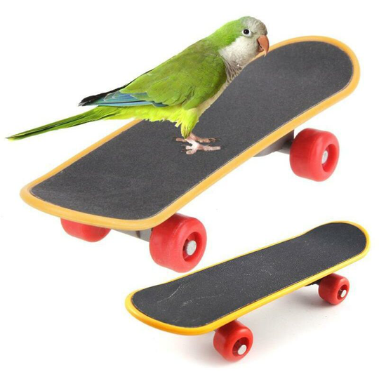 Skateboard Bird Toys, Parrot Training Trick Prop Toys, Bird Intelligence Educational Toys, Bird Grind Foot Toy for Parrot