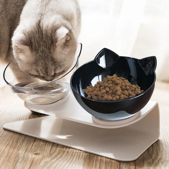 2-Bowl 15 ° Inclined Cute Plastic Pet Feeding Bowl (Black+Transparent Bowl)