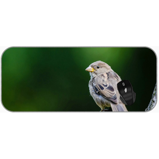 (750X300X3) Gaming Mouse Pad Large XXL Green Bird Sparrow XXL Large Mouse Mat